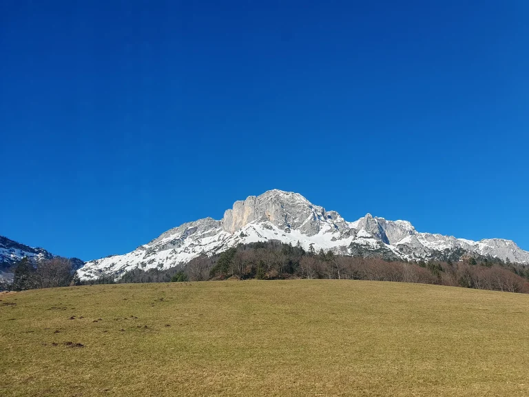 Mountain with snow under blue skies with trees and a grass field under.